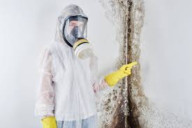 Mold Remediation for Vacation Homes in Walnut Grove, CA